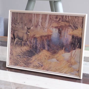 Fb1a6f41 57a2 4816 b61f da5e17f1c5a1